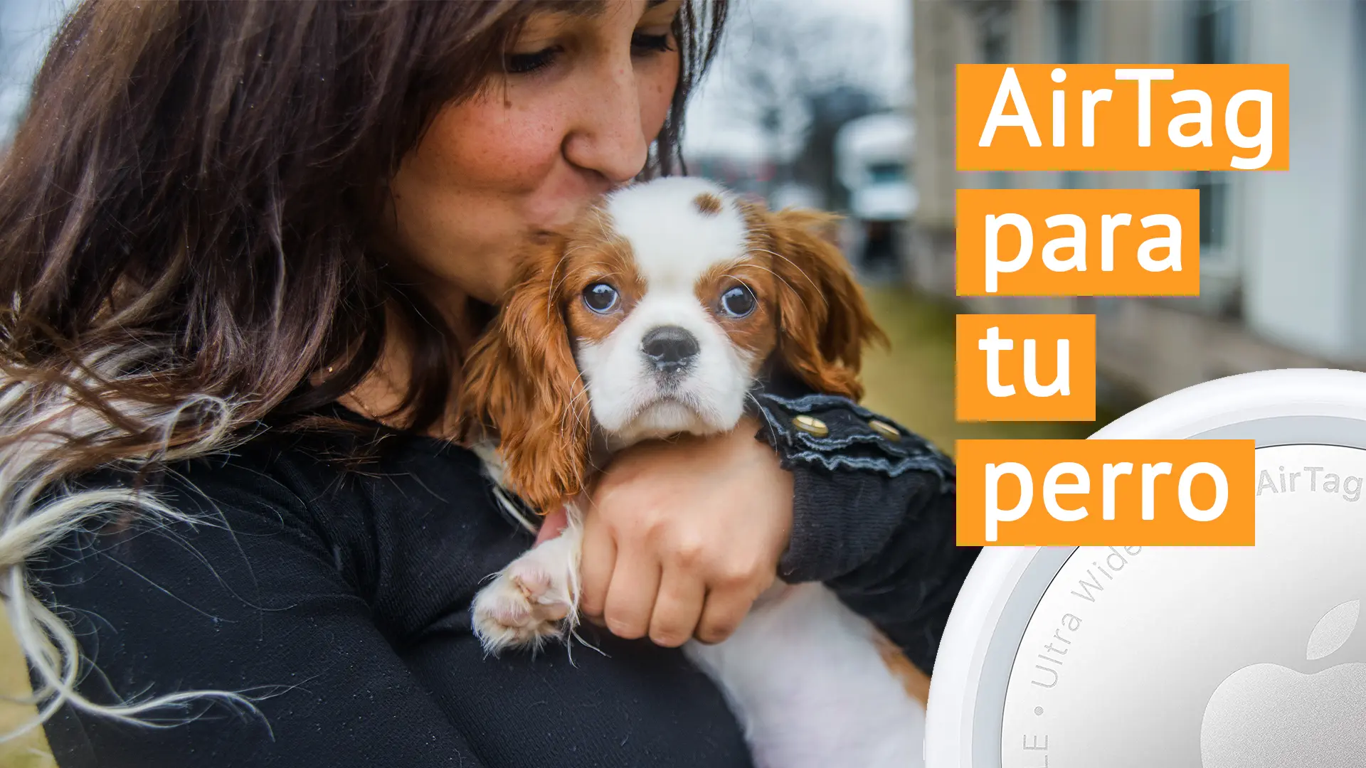 Ponle un AirTag a tu perro y tendrás la seguridad de localizarlo siempre